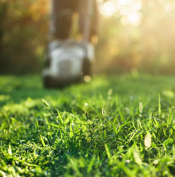 Battery Powered Lawn Mowing and Trimming