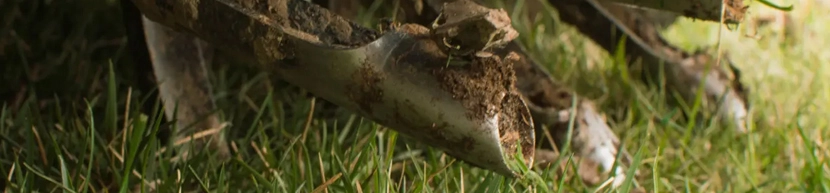 grass and hand hovering above indicating lawn care