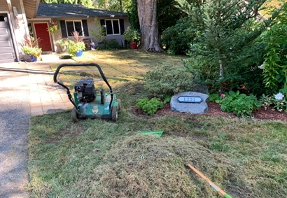 dethatching lawn with commercial equipment