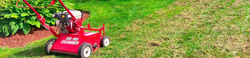 grass and hand hovering above indicating lawn care