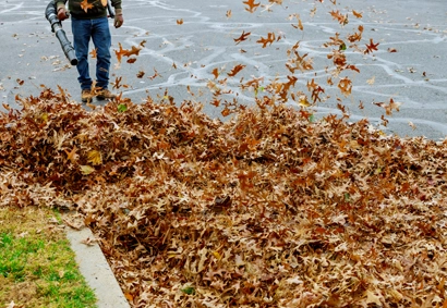 fall clean-up of leaves and debris