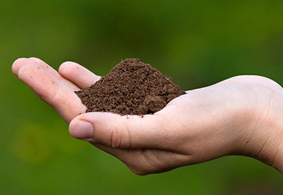 topdressing with peat to provide moisture overlay for germination